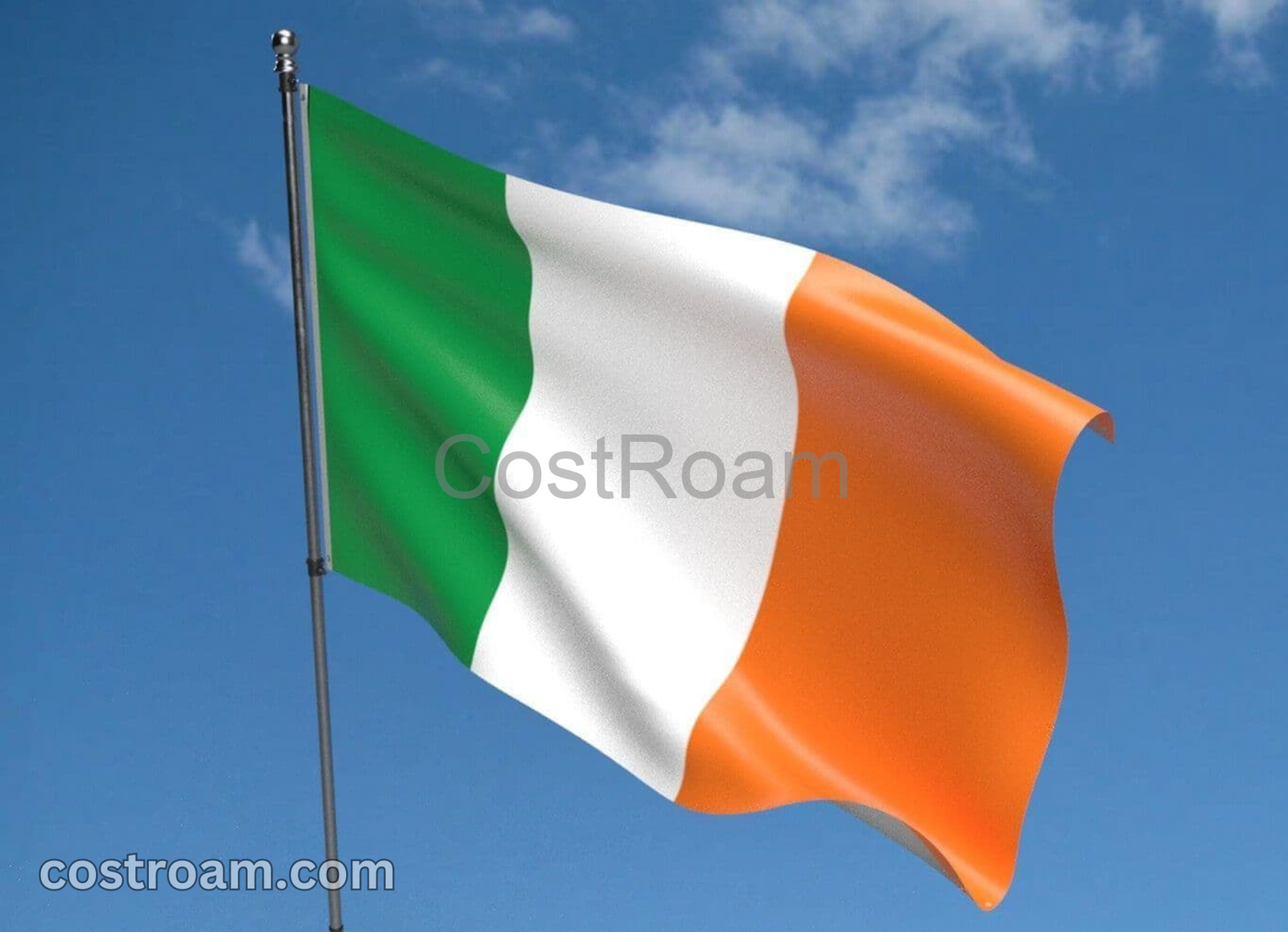 Ireland Business Visa Fees