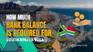 How Much Bank Balance Is Required for South Africa Visa